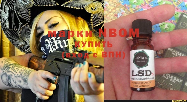 индика Новосибирск