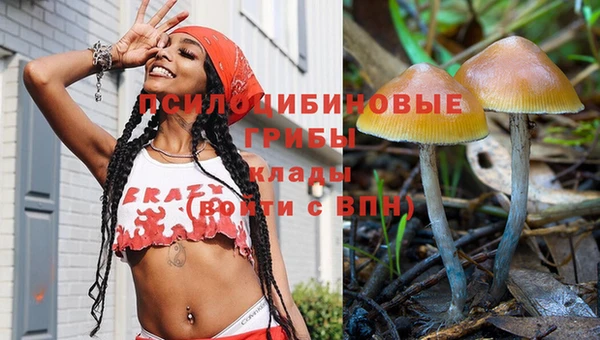 Альфа ПВП Фёдоровский